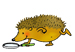 Igel