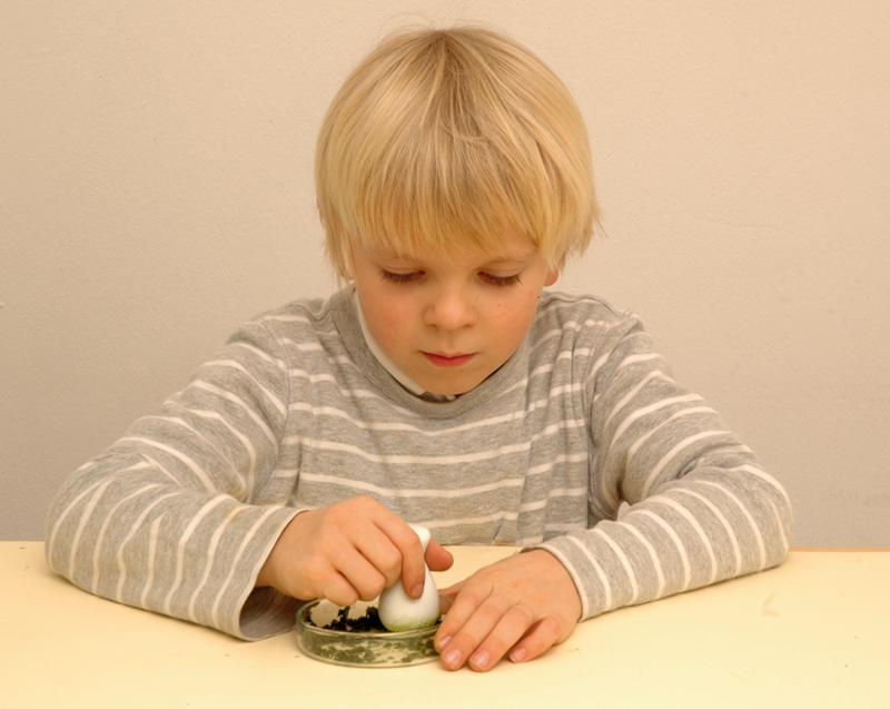 Grundschulblog Sachunterricht Experiment Herbst Blätter zerkleinern