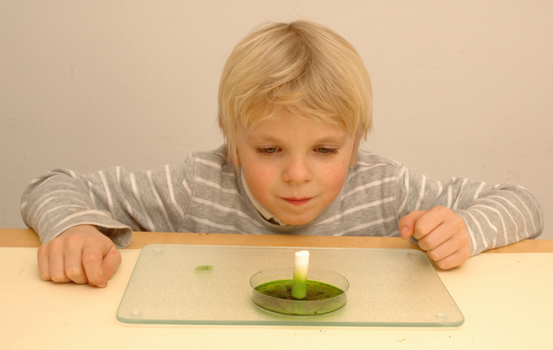 Grundschulblog Sachunterricht Experiment Herbst beobachten
