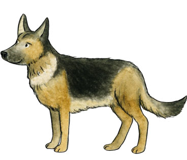 Haustier Hund