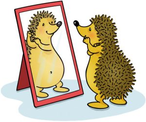 Igel Spiegel
