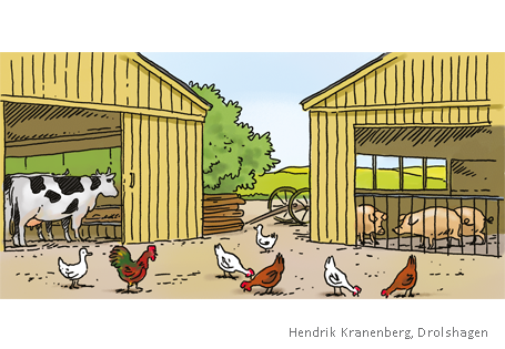 Farm