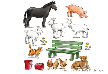 Farm Animals
