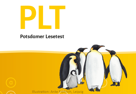 Der Potsdamer Lesetest (PLT) – Umgang mit Mehrsprachigkeit, Teil V