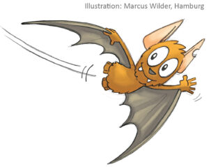 Fledermaus Fledermaus