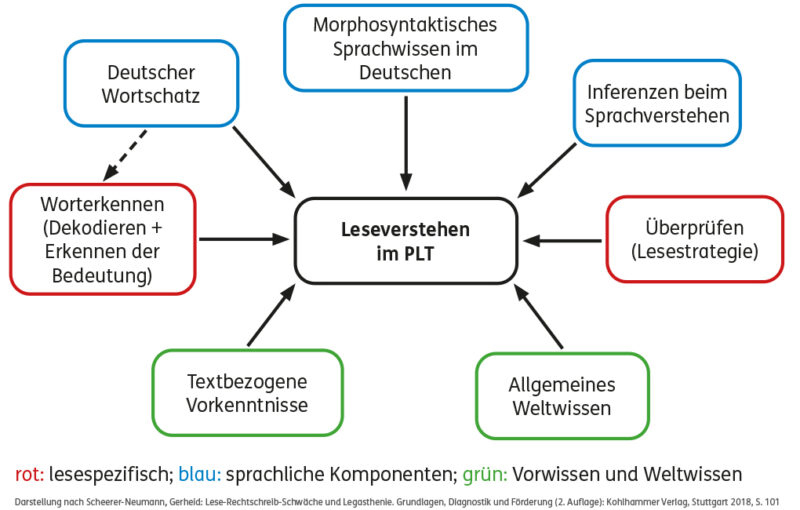Grundschulblog_Unterricht_Deutsch_Diagnostik_PLT_Schema_Leseverstehen_ Schema Leseverstehen im PLT