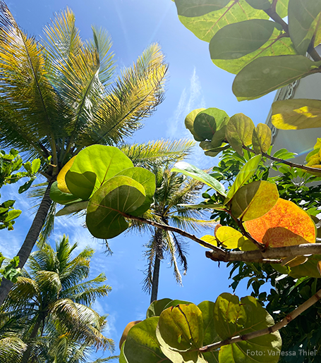 Lehrerfortbildung Erasmus Guadeloupe