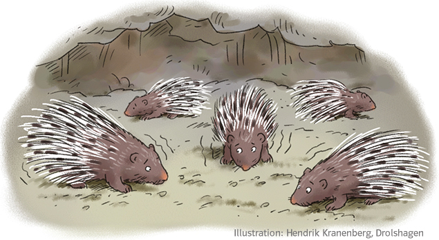 Grundschul-Blog-Unterrichten-Ethik-Demokratie-Kompromissfindung-Stachelschweine-1 Illustration Stachelschweine