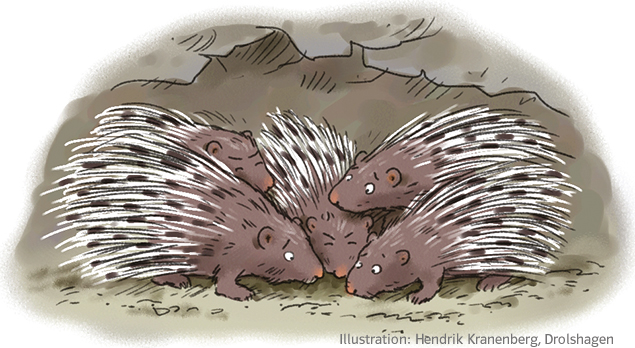Grundschul-Blog-Unterrichten-Ethik-Demokratie-Kompromissfindung-Stachelschweine-2 Illustration Stachelschweine