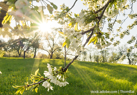 Natur-Sachbücher für den Frühling