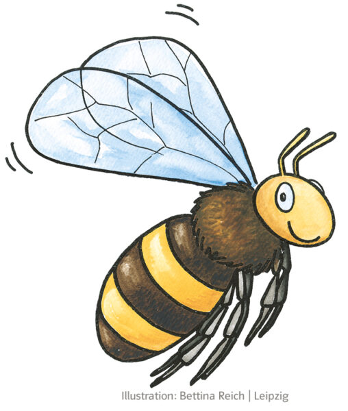 Illustration Biene