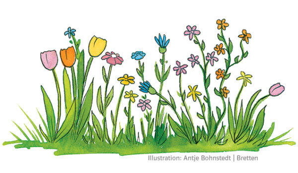 Illustration Blumen