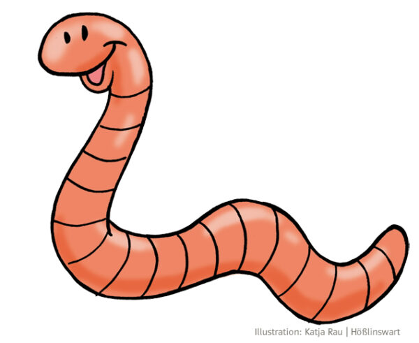 Illustration Regenwurm