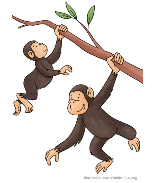 Illustration Schimpansen