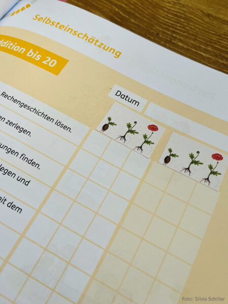 Grundschul-Blog-Unterrichten-Mathematik-Matherad-Praxistest-Sticker-Pflanze Matherad Praxistest Sticker Pflanze