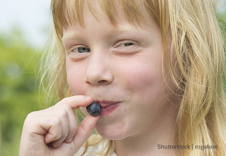 Happy Birthday, Blaubeere! – Heute ist Kinderbuchtag