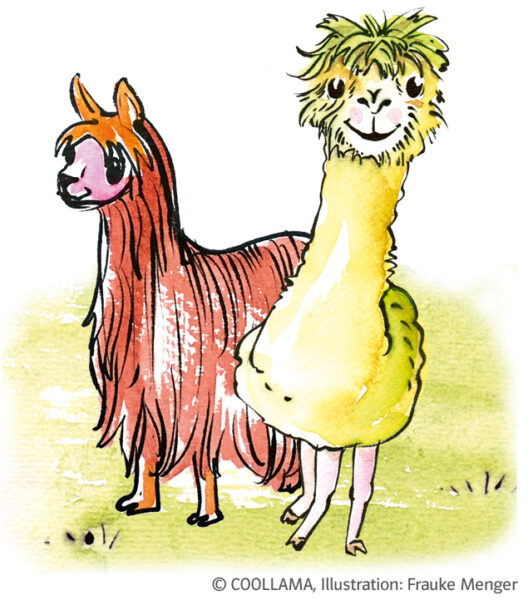 COOLLAMA Lotti und Lami Sachrechnen
