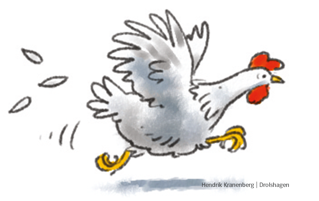 Flatterndes Huhn