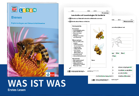 Mit WAS IST WAS die Bienen entdecken und Lesefreude wecken