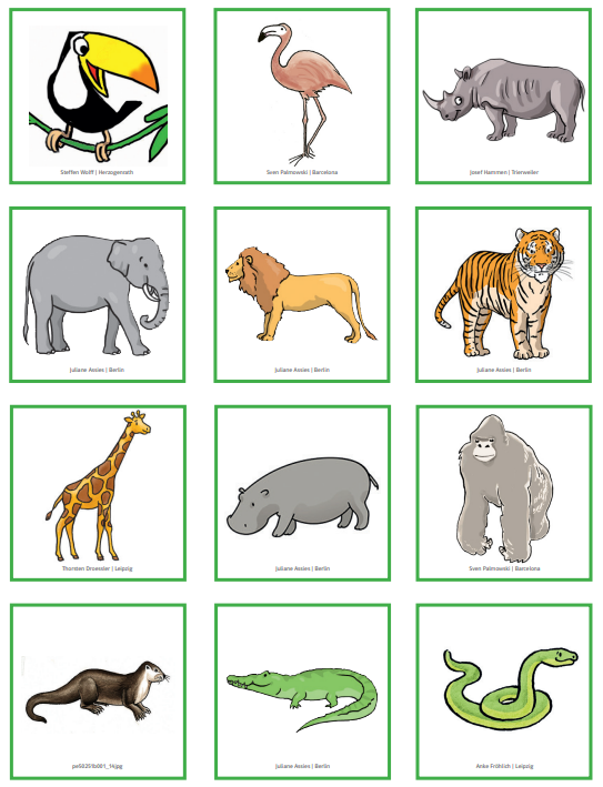 Grundschulblog-Unterrichten-Mathematik-Matherad-Tierkarten-Abb7 Tiere als Memory mit grünem Rand