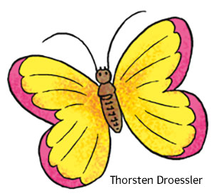 gelb-pinker Schmetterling