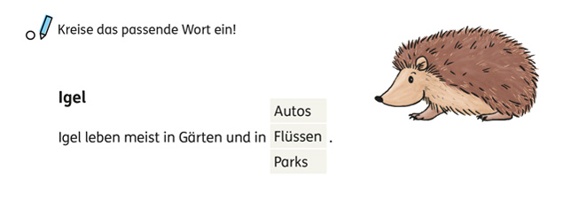 Beispiel PLT Zusatzaufgabe Leseverstehen