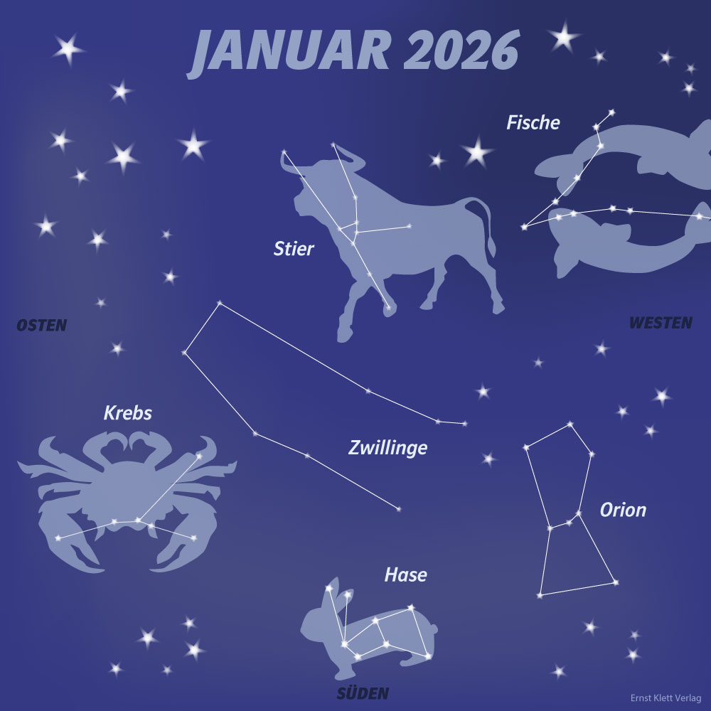 Grundschul-Blog-Unterrichten-Dies-Das-Sternbilder-Januar-2026 Sternbilder im Januar mit Krebs, Zwillinge, Stier, Fische, Hase und Orion