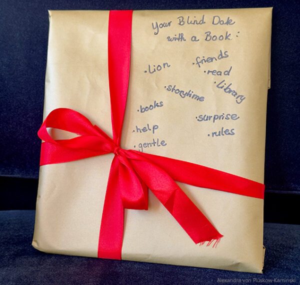 Eingepacktes Buch mit roter Schleife - Blind date with a book