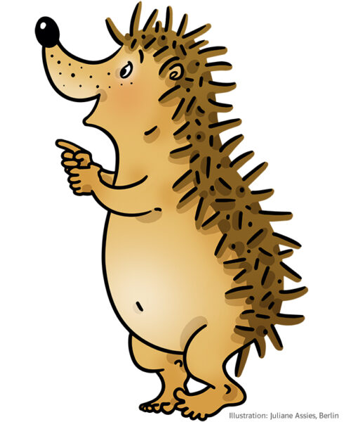 Zahlenbuch Igel zeigt