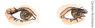 braune_Augen Augenpaar