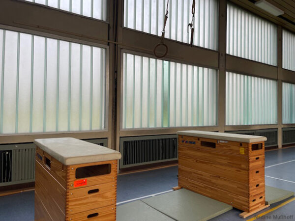 Grundschul-Blog-Unterrichten-Sport-Turnen-Ringe Turnhalle Grundschule Turnen Station Ringe
