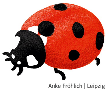 Marienkäfer