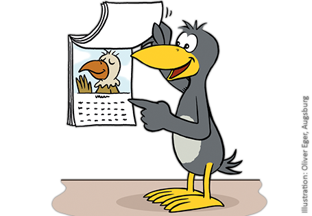 Grundschul-Blog-Unterrichten-Mathematik-Rechenrabe-Kalender-S677253611_70_01 Illustration Rechenrabe blättert im Kalender