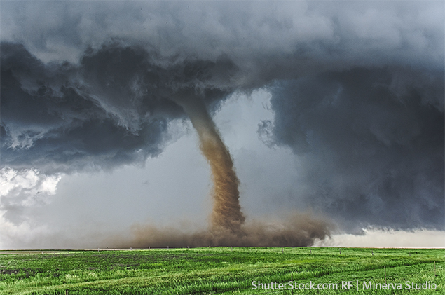 Foto eines Tornados/Windhose auf einer grünen Wiese