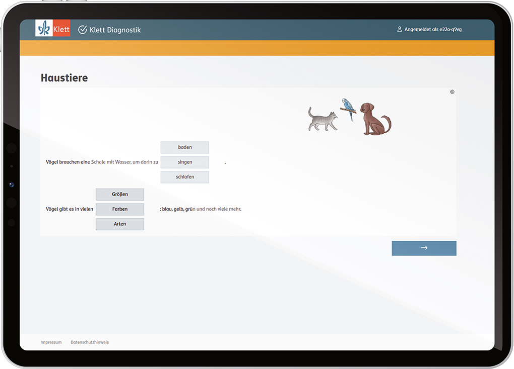 Screenshot PLT smart Untertest Leseverstehen in Tablet