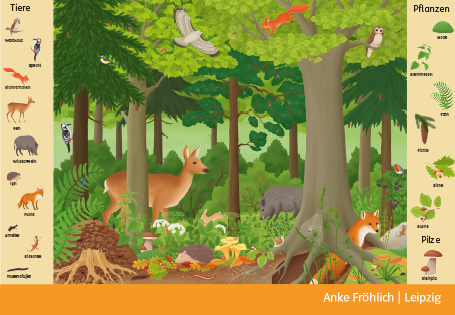 Entdecke den Wald mit WAS IST WAS