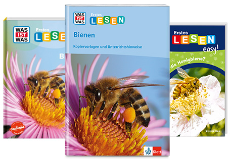 Cover WAS IST WAS Erstes Lesen Bienen