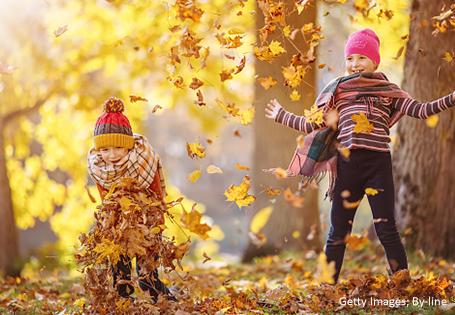 Von Laternenlicht bis Laubigel – Herbst im Unterricht erleben