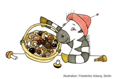 Illustration Zebra Franz mit Korb mit Waldpilzen