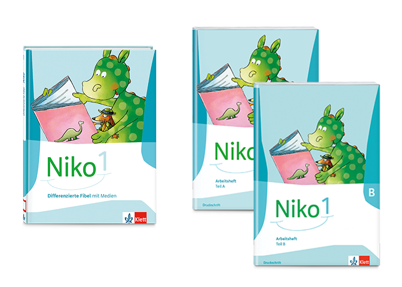 Übersicht Klassisches Niko-Konzept